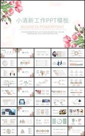通用小清新花卉工作总结PPT