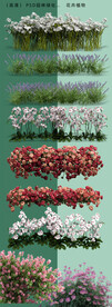 园林花卉