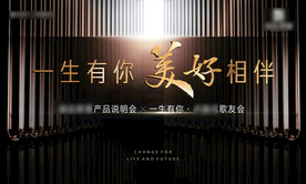 黑金立体高端主画面