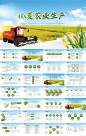 绿色小麦农业生产种植PPT模板