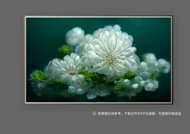 白色唯美抽象立体花朵装饰画