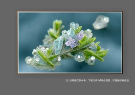 白色唯美抽象立体花朵装饰画