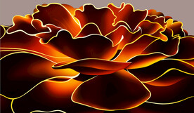 巨幅高清分层发光玫瑰花背景