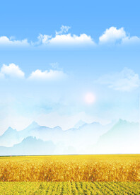 麦田谷物丰收图