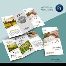 大米三折页
