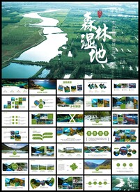 湿地环境保护生态森林业PPT