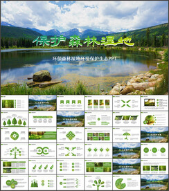 保护湿地和森林PPT