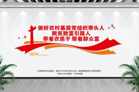 农村基层党组织文化墙