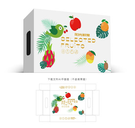 通用水果包装 