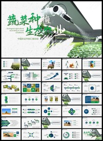 现代化农业大棚蔬菜种植PPT