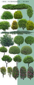 花圃树林绿化