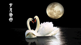 天鹅月亮背景