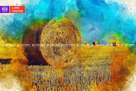 秋季成捆的干草垛