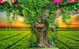 大树自然风光背景墙壁画