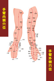 手臂内侧外侧穴位图