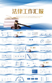 蓝色大气法律律法工作汇报