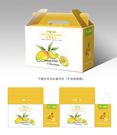 芒果包装