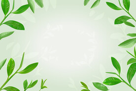 茶叶绿色素材绿茶叶子嫩叶嫩芽