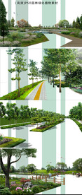 道路绿化设计