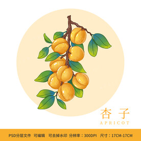 手绘水果杏子包装插画