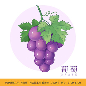 手绘葡萄水果包装插画