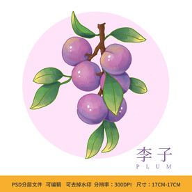 手绘水果李子包装插画