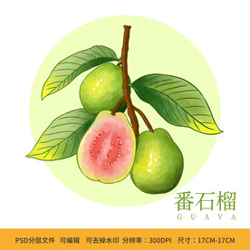 手绘番石榴水果包装插画