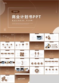 金色简约通用商业计划书PPT