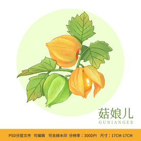 手绘菇娘儿包装插画