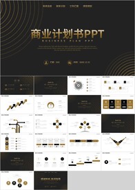 黑金风项目融资商业计划书PPT