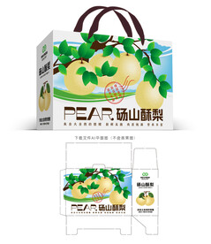 砀山酥梨包装