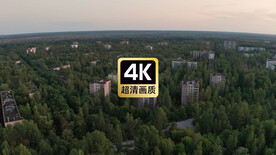 丛林中的城镇建筑