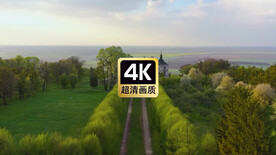 丛林中的白色古堡美景