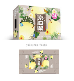 京白梨包装 