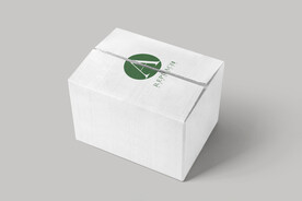 牛皮纸打包箱样机