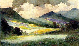 纯手绘花海装饰画