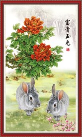 富贵玉兔