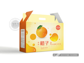 橙子包装 平图图