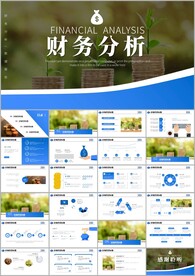 财务分析报告数据分析PPT