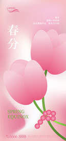 温暖春分节气海报