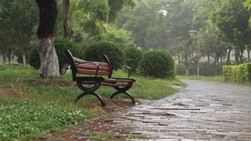 公园雨景