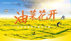 油菜花节