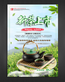 新茶上市