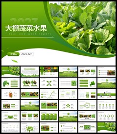 大棚蔬菜种植基地有机果蔬ppt