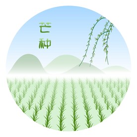 二十四节气芒种背景图矢量图