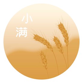 二十四节气小满背景图矢量图