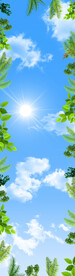 蓝天白云竖版