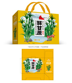 青皮甘蔗包装 