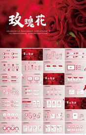 红色玫瑰花浪漫唯美风PPT模板