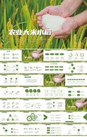 绿色农业大米水稻种植业PPT